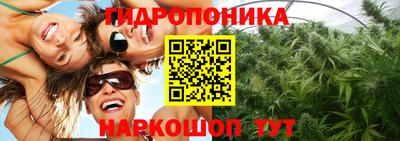 ГАЛЛЮЦИНОГЕННЫЕ ГРИБЫ Гай