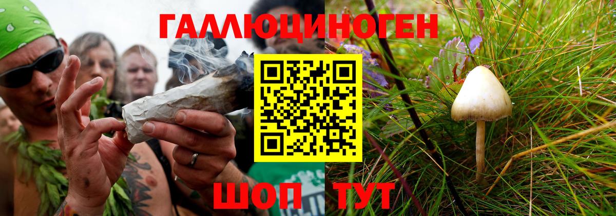 Псилоцибиновые грибы мицелий Павловский Посад