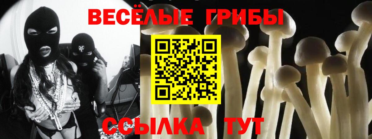 Галлюциногенные грибы Magic Shrooms  Вход с VPN  Павловский Посад 